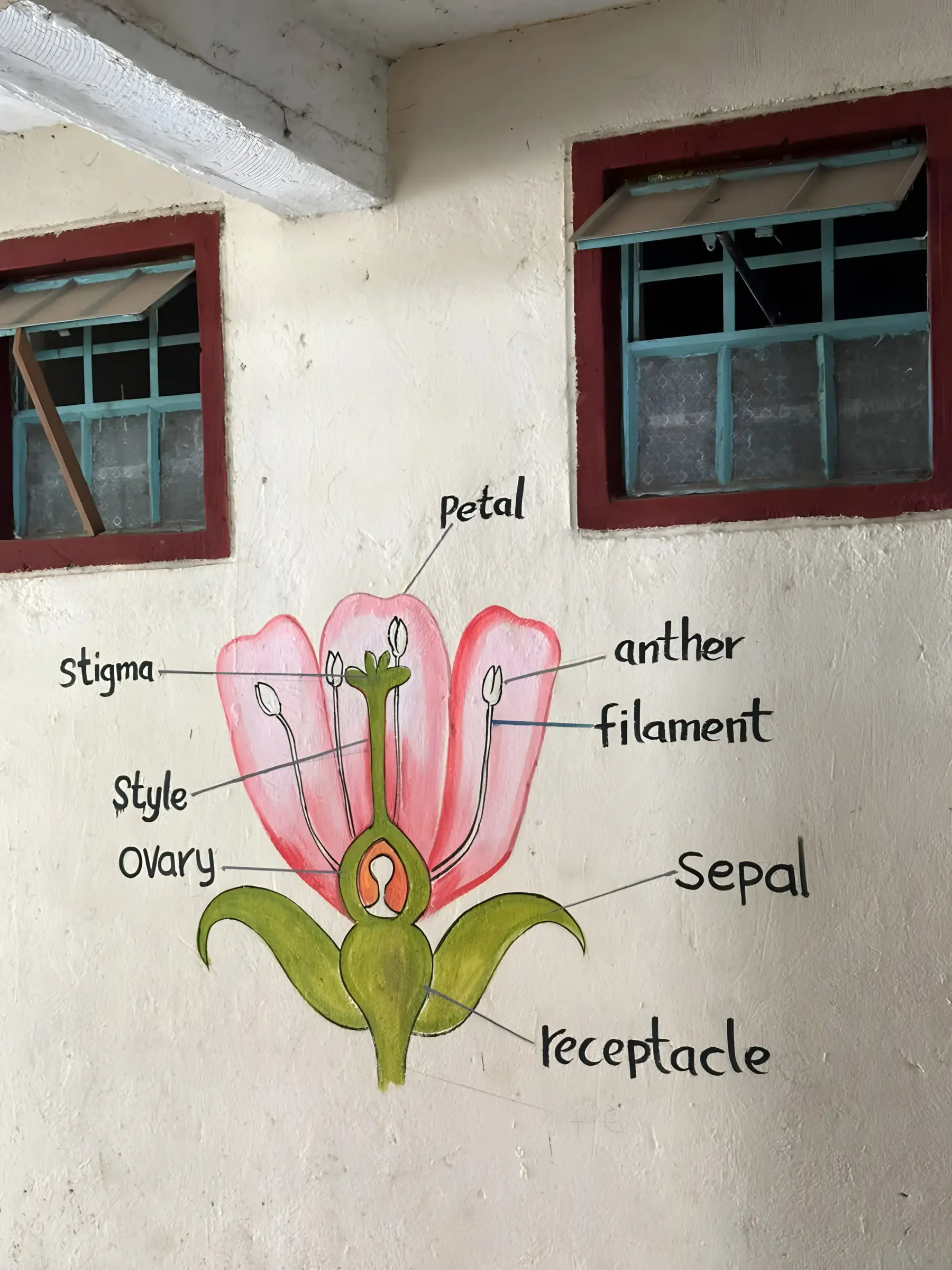 Parts of a flower mural